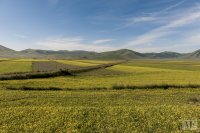 castelluccio 1 june 2013